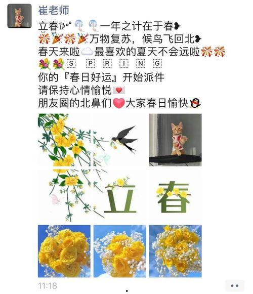 小凌的吃瓜日记免费阅读,揭秘娱乐圈幕后故事